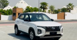 CRETA 2023 WHITE BLACK (1)